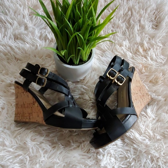 Wedges - Picture 2 of 4